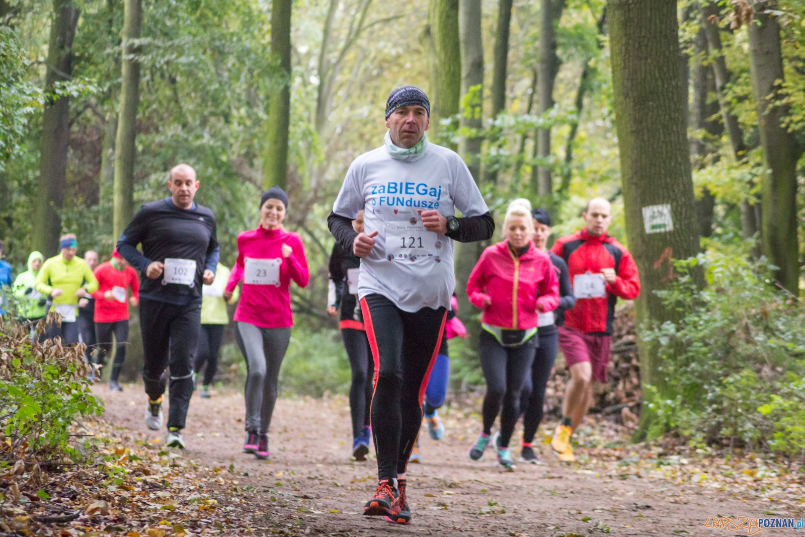 Bieg Papieski Foto: LepszyPOZNAŃ.pl / Ewelina Jaśkowiak Bieg Papieski Foto: LepszyPOZNAŃ.pl / Ewelina Jaśkowiak