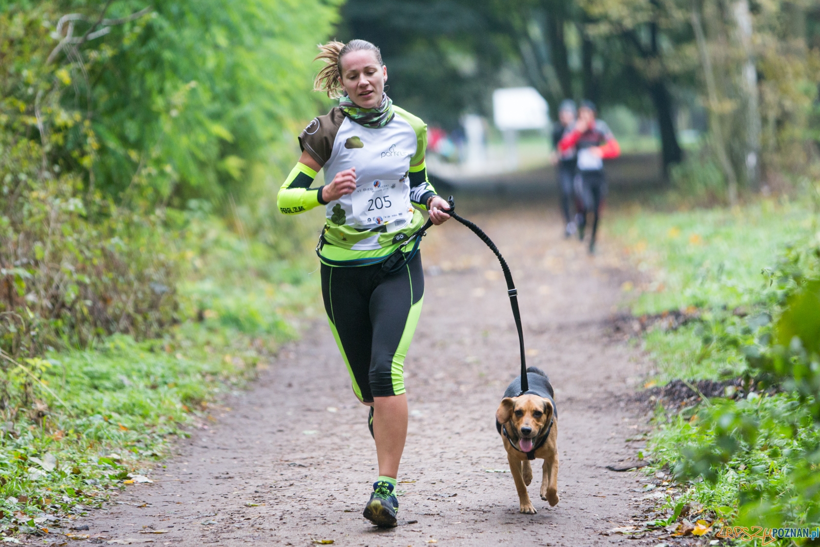 VI Poznański Bieg Papieski Foto: lepszyPOZNAN.pl / Piotr Rychter VI Poznański Bieg Papieski Foto: lepszyPOZNAN.pl / Piotr Rychter