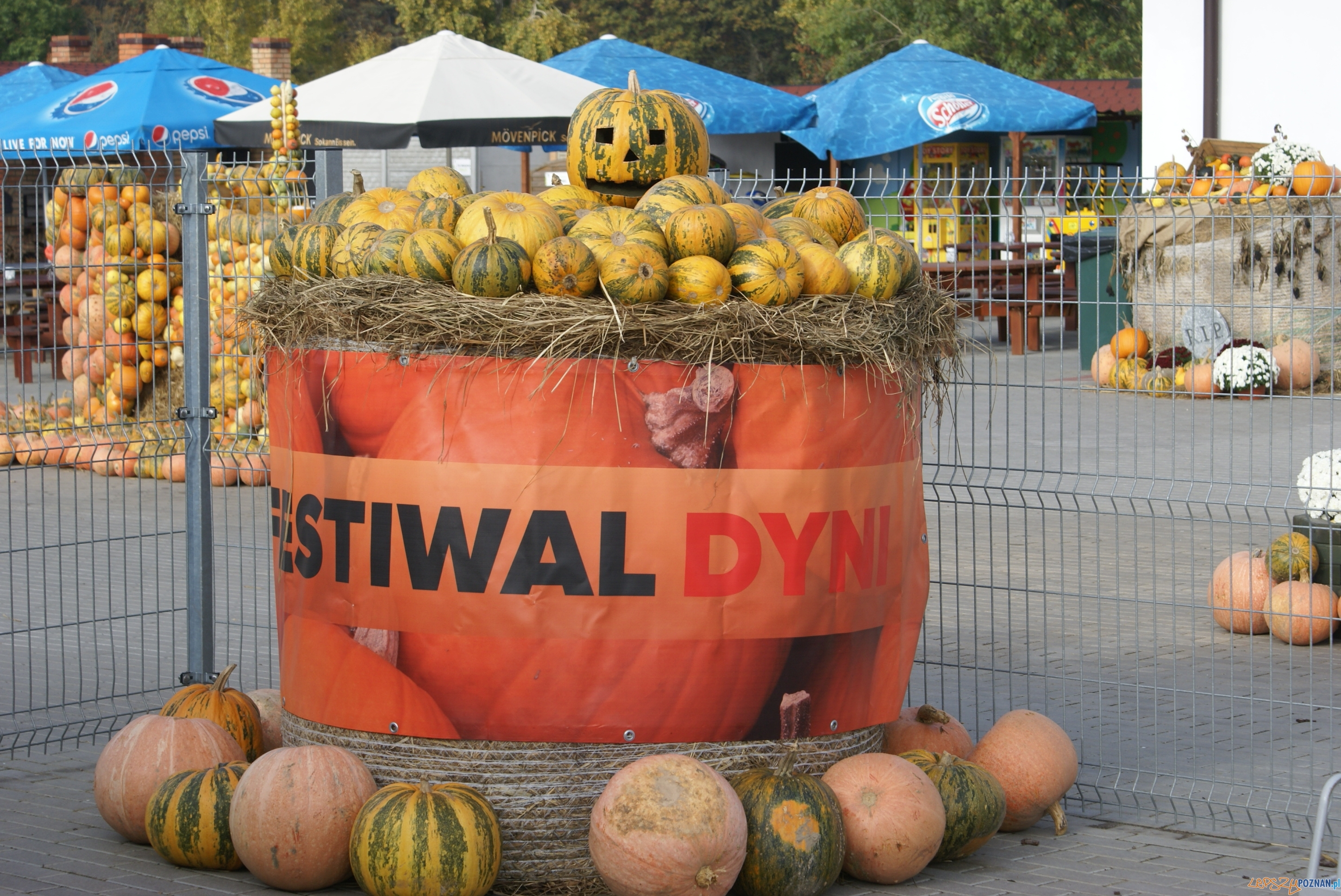 Festiwal Korbola Foto: ExPress / materiały prasowe Festiwal Korbola Foto: ExPress / materiały prasowe