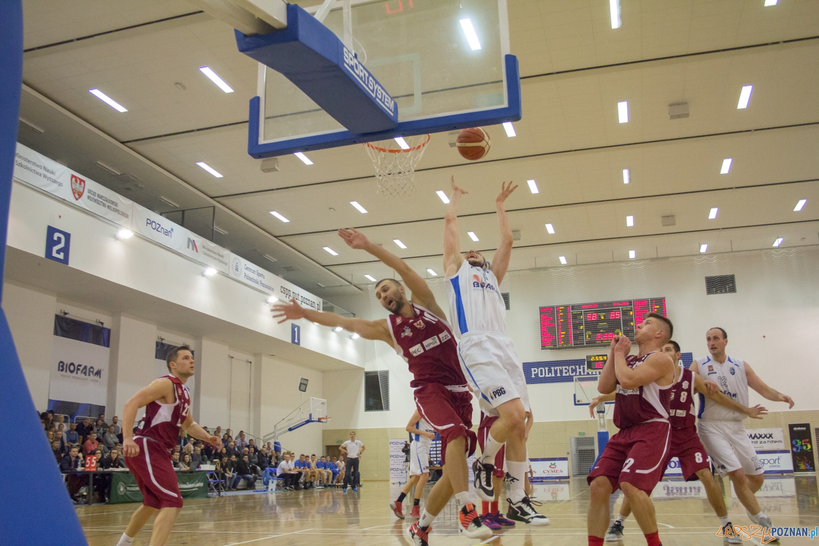 Biofarm Basket Poznań - Spójnia Stargard Foto: Ewelina Jaśkowiak Biofarm Basket Poznań - Spójnia Stargard Foto: Ewelina Jaśkowiak