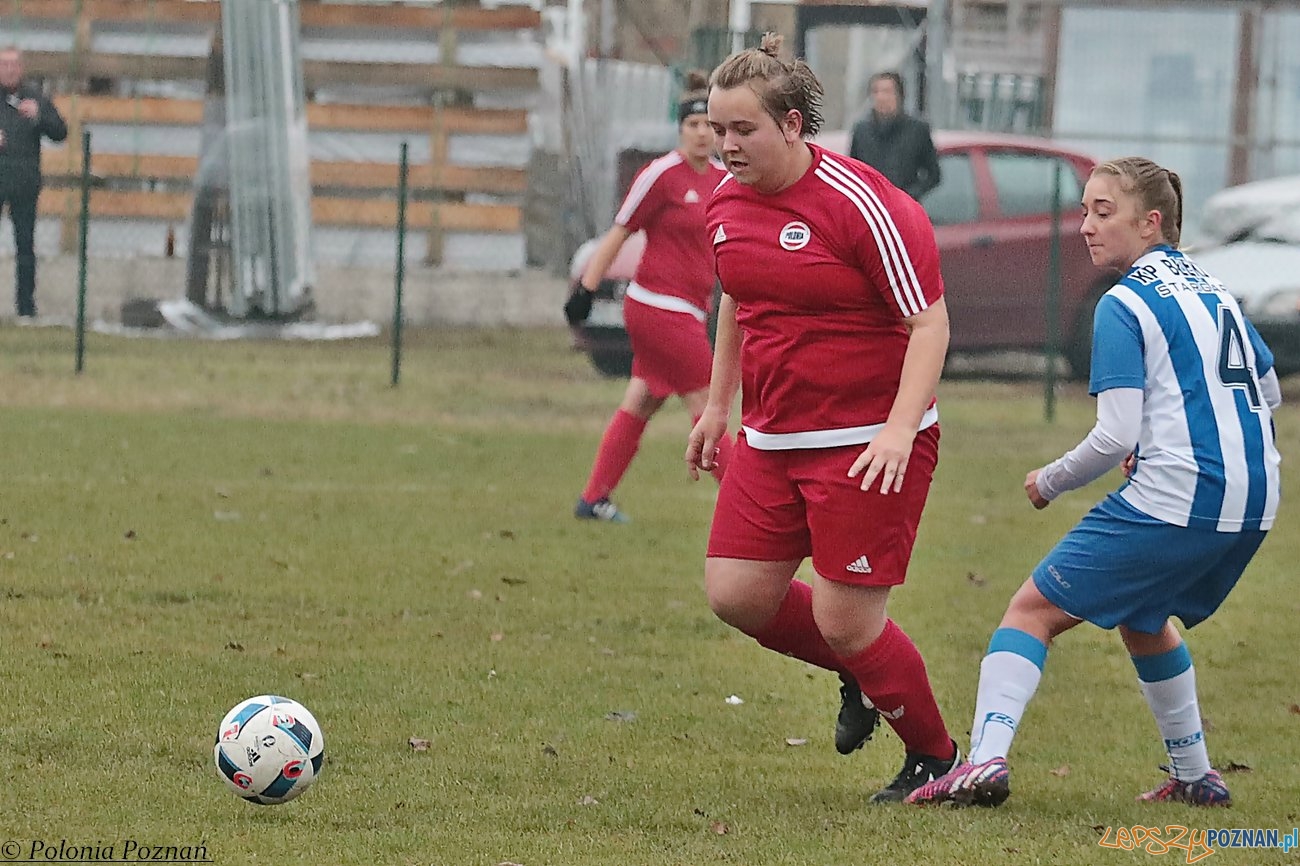 Polonia Poznań - KP Błękitne Stargard Foto: materiały prasowe Polonia Poznań - KP Błękitne Stargard Foto: materiały prasowe