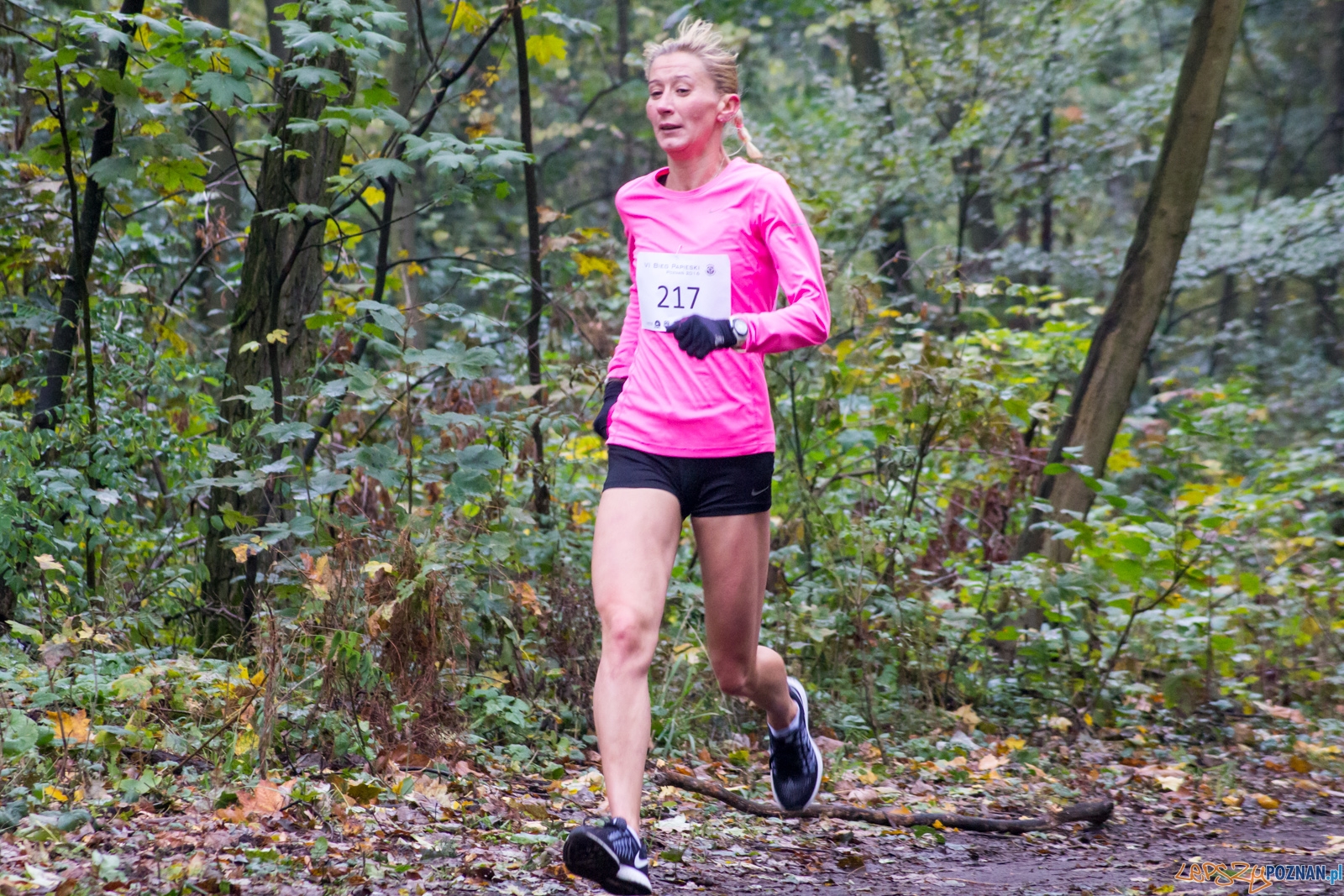 Bieg Papieski Foto: LepszyPOZNAŃ.pl / Ewelina Jaśkowiak Bieg Papieski Foto: LepszyPOZNAŃ.pl / Ewelina Jaśkowiak