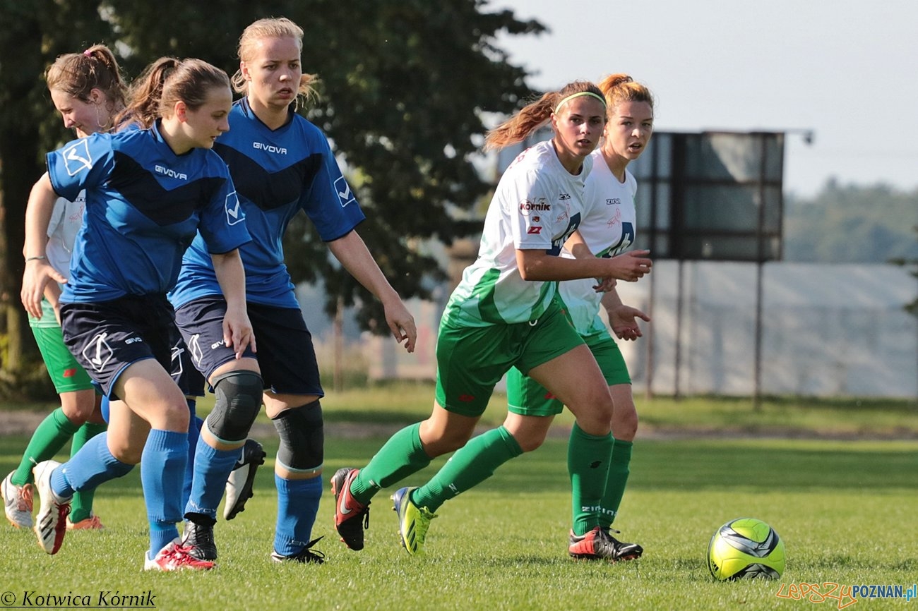 Kotwica Kórnik – KS Olimp Gościno Foto: materiały prasowe Kotwica Kórnik – KS Olimp Gościno Foto: materiały prasowe