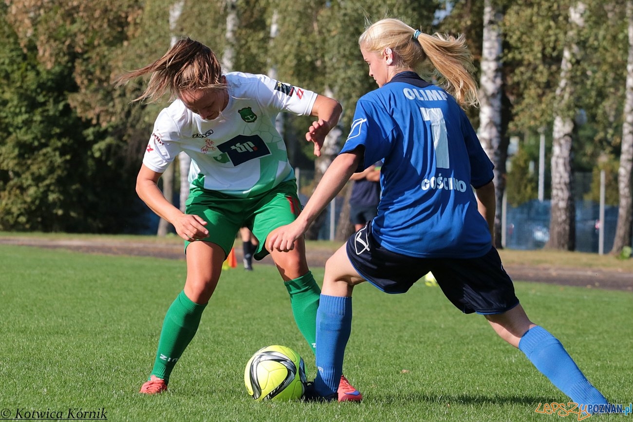 Kotwica Kórnik – KS Olimp Gościno Foto: materiały prasowe Kotwica Kórnik – KS Olimp Gościno Foto: materiały prasowe