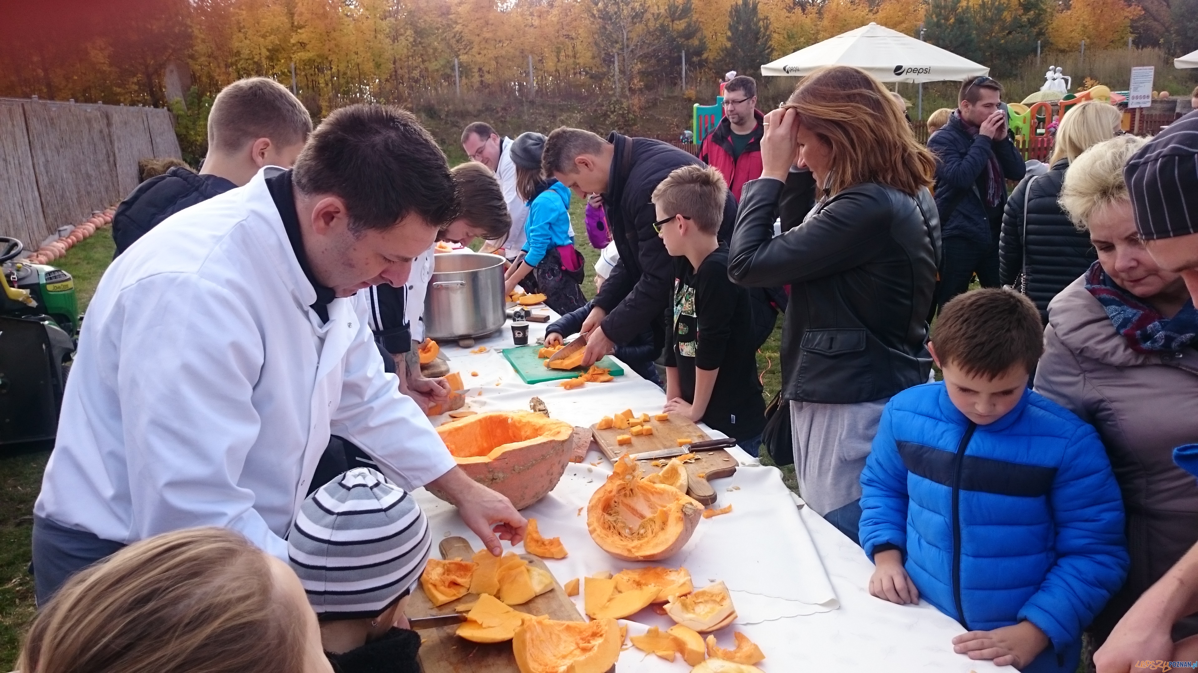 Festiwal Korbola Foto: ExPress / materiały prasowe Festiwal Korbola Foto: ExPress / materiały prasowe