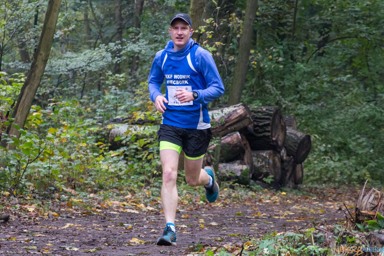 Bieg Papieski Foto: LepszyPOZNAŃ.pl / Ewelina Jaśkowiak Bieg Papieski Foto: LepszyPOZNAŃ.pl / Ewelina Jaśkowiak