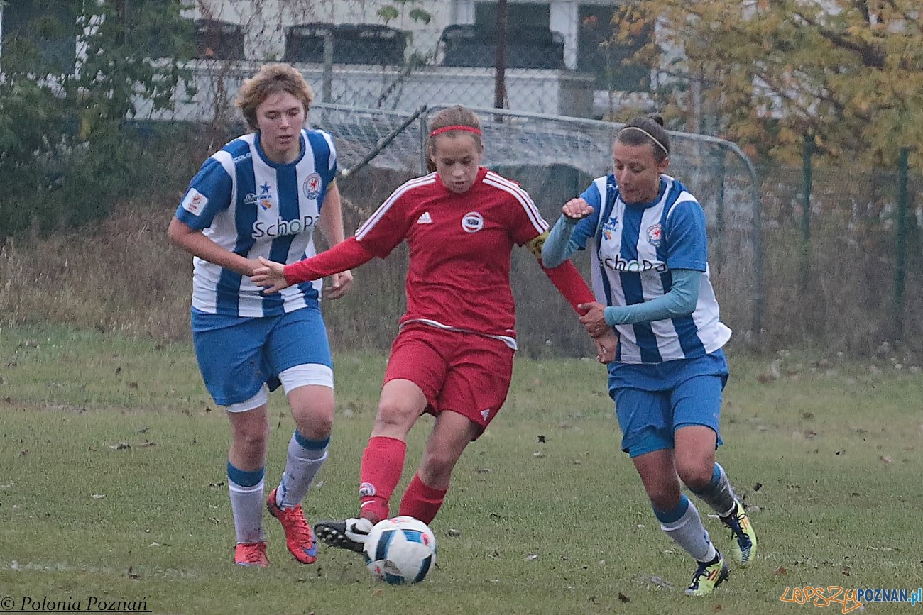 Polonia Poznań - KP Błękitne Stargard Foto: materiały prasowe Polonia Poznań - KP Błękitne Stargard Foto: materiały prasowe