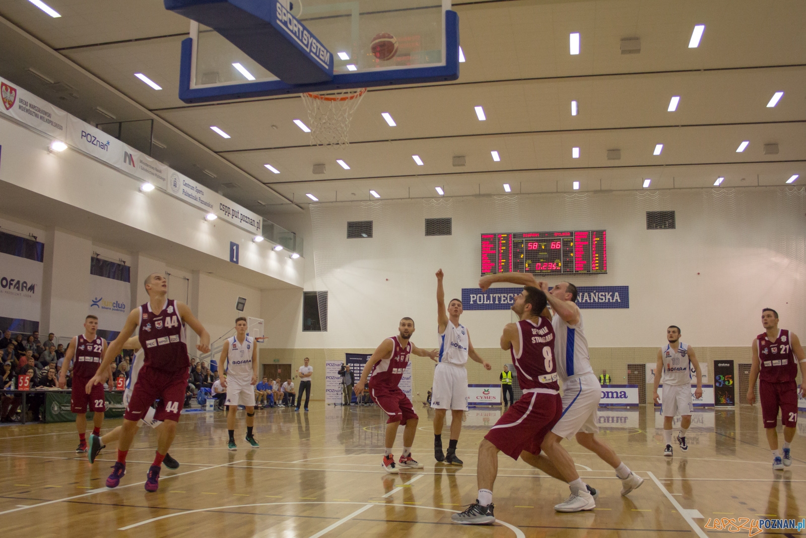 Biofarm Basket Poznań - Spójnia Stargard Foto: Ewelina Jaśkowiak Biofarm Basket Poznań - Spójnia Stargard Foto: Ewelina Jaśkowiak