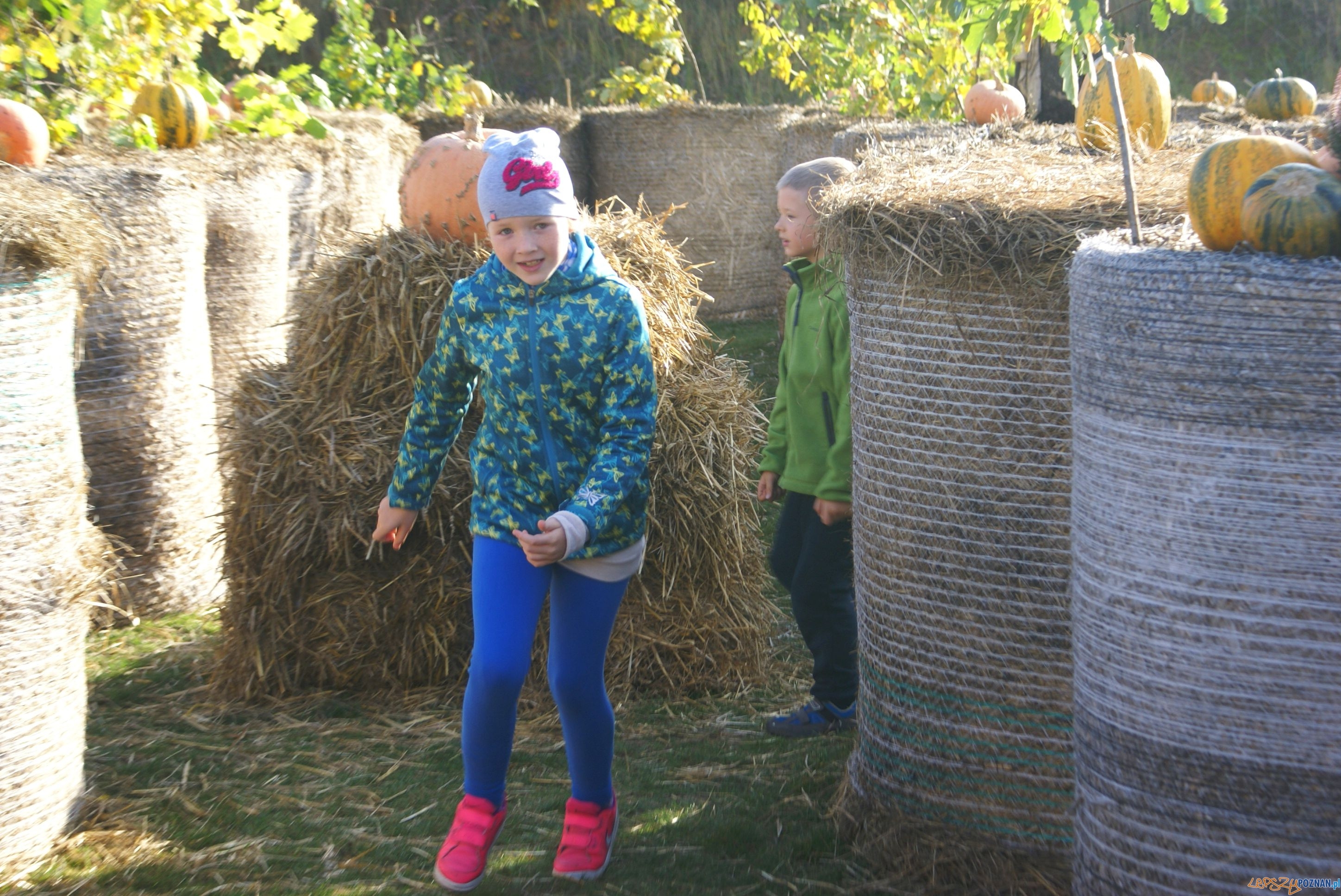 Festiwal Korbola Foto: ExPress / materiały prasowe Festiwal Korbola Foto: ExPress / materiały prasowe