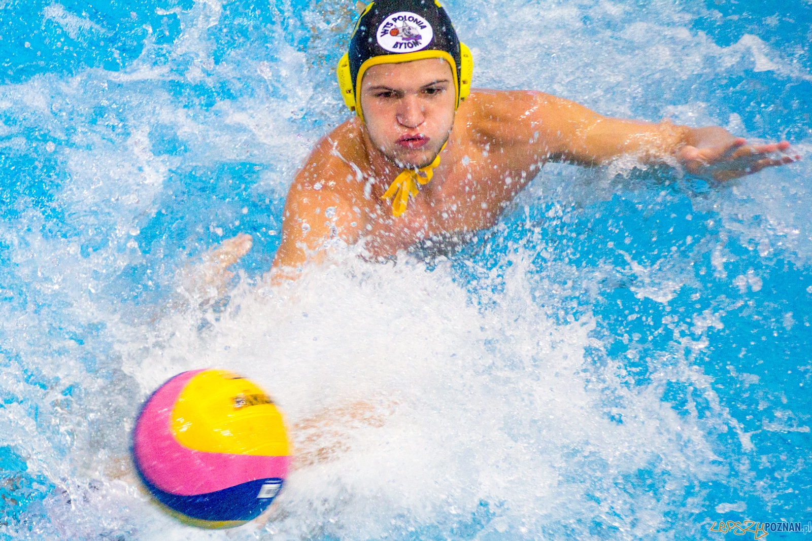 KS Waterpolo Poznań - WTS Polonia Bytom Foto: Ewelina Jaśkowiak KS Waterpolo Poznań - WTS Polonia Bytom Foto: Ewelina Jaśkowiak