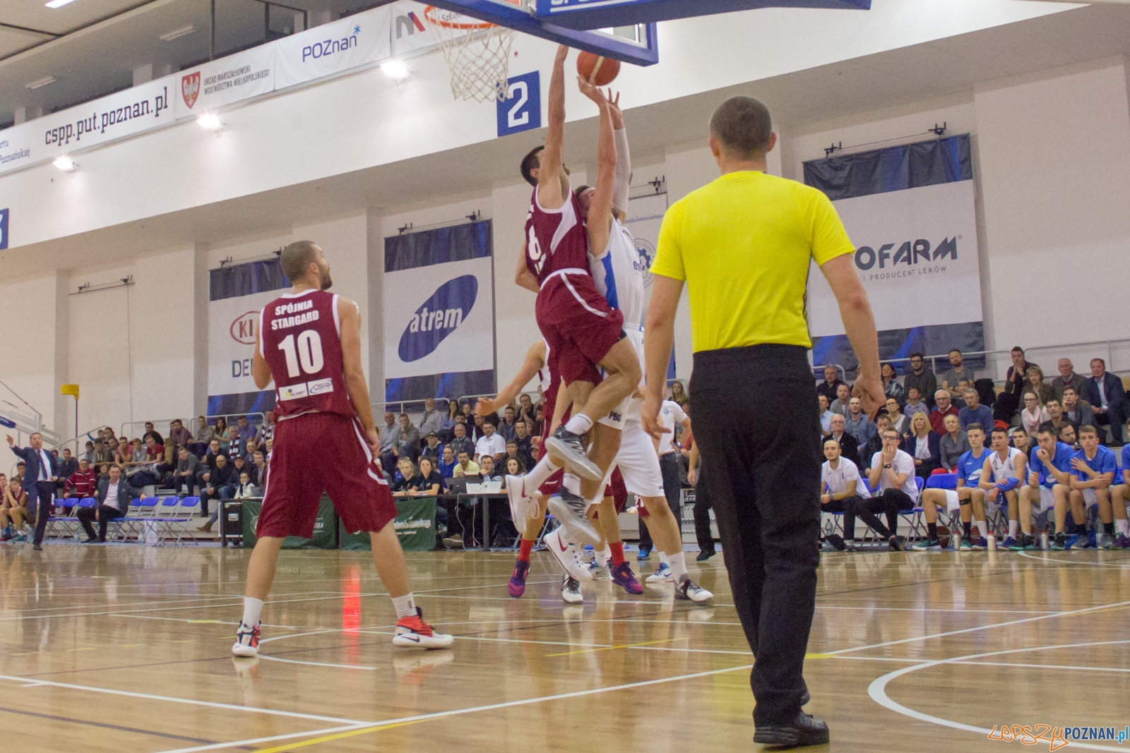 Biofarm Basket Poznań - Spójnia Stargard Foto: Ewelina Jaśkowiak Biofarm Basket Poznań - Spójnia Stargard Foto: Ewelina Jaśkowiak