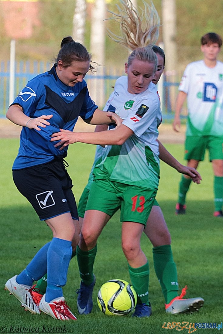 Kotwica Kórnik – KS Olimp Gościno Foto: materiały prasowe Kotwica Kórnik – KS Olimp Gościno Foto: materiały prasowe