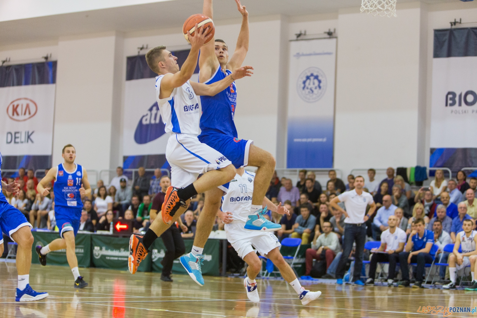 Biofarm Basket Poznań - Noteć Inowrocław Foto: lepszyPOZNAN.pl / Piotr Rychter Biofarm Basket Poznań - Noteć Inowrocław Foto: lepszyPOZNAN.pl / Piotr Rychter