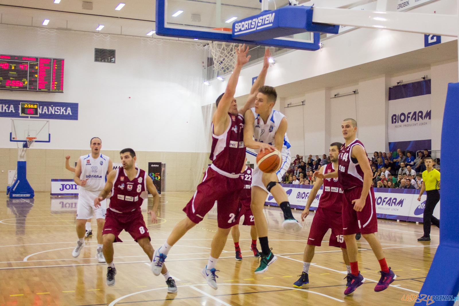 Biofarm Basket Poznań - Spójnia Stargard Foto: Ewelina Jaśkowiak Biofarm Basket Poznań - Spójnia Stargard Foto: Ewelina Jaśkowiak