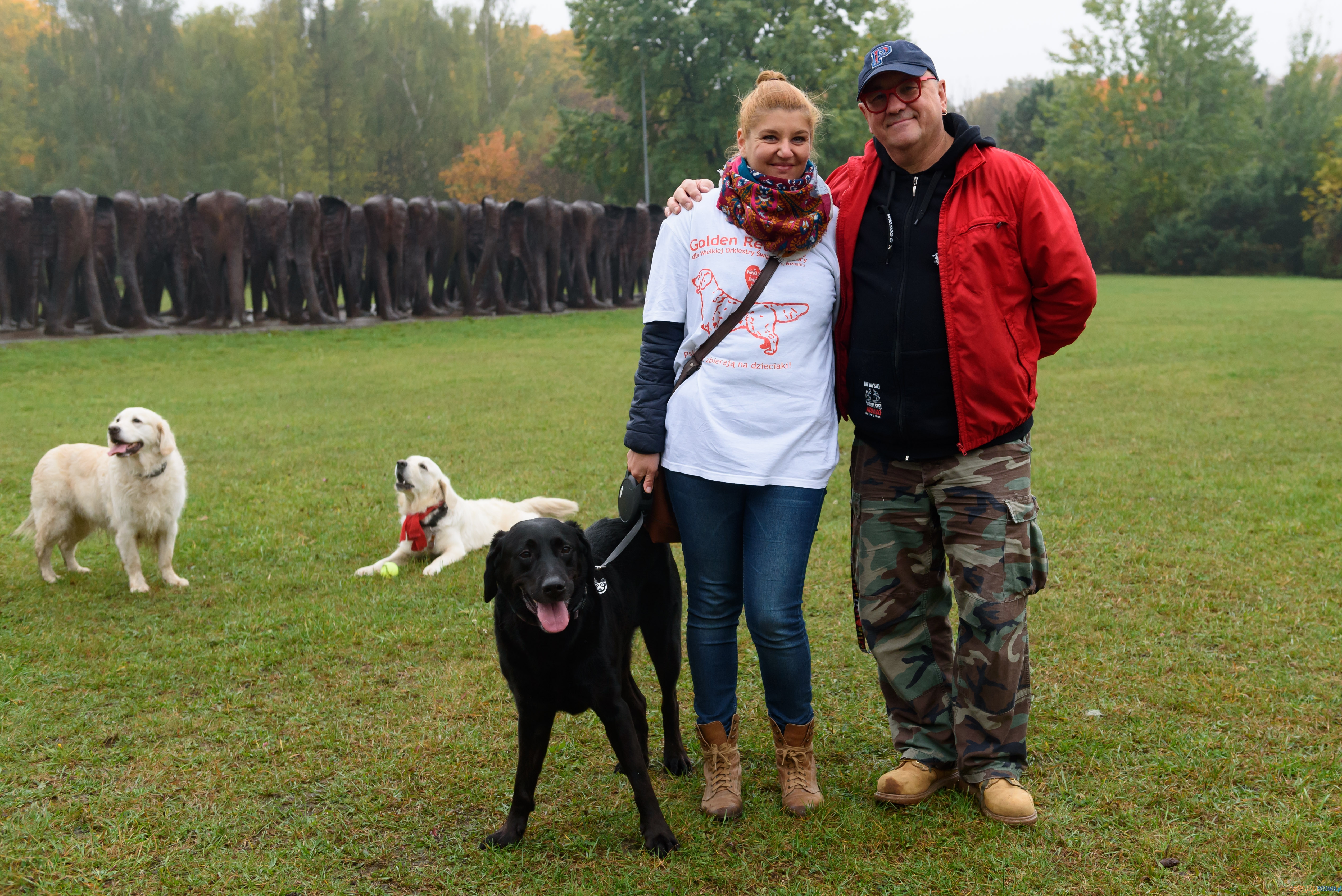 golden retriever Jurek Owsiak Foto: Kuba Kaczmarczyk golden retriever Jurek Owsiak Foto: Kuba Kaczmarczyk