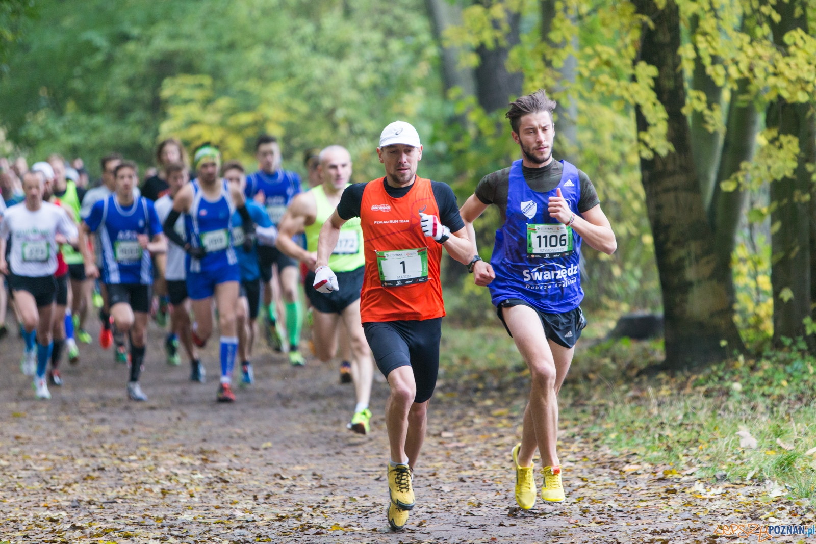 Grand Prix CITY TRAIL - bieg pierwszy Foto: lepszyPOZNAN.pl / Piotr Rychter Grand Prix CITY TRAIL - bieg pierwszy Foto: lepszyPOZNAN.pl / Piotr Rychter