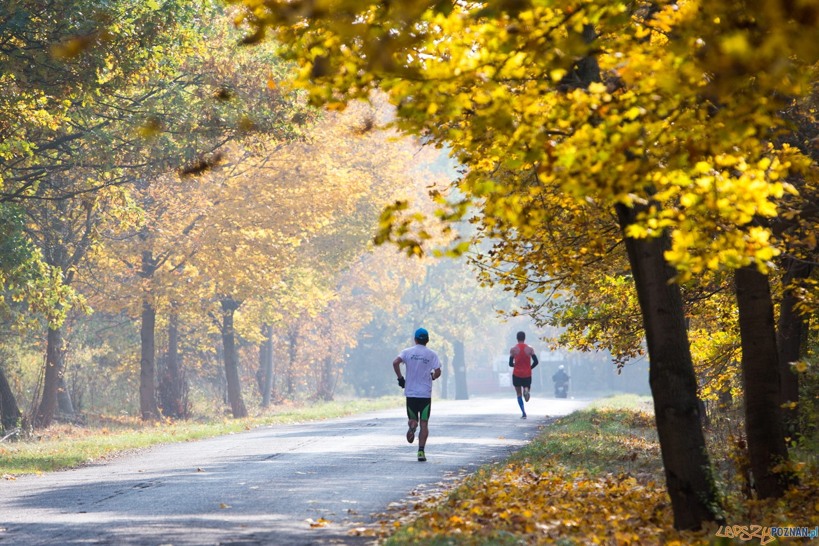 I Półmaraton Wągrowiec Skoki Foto: lepszyPOZNAN.pl / Piotr Rychter I Półmaraton Wągrowiec Skoki Foto: lepszyPOZNAN.pl / Piotr Rychter