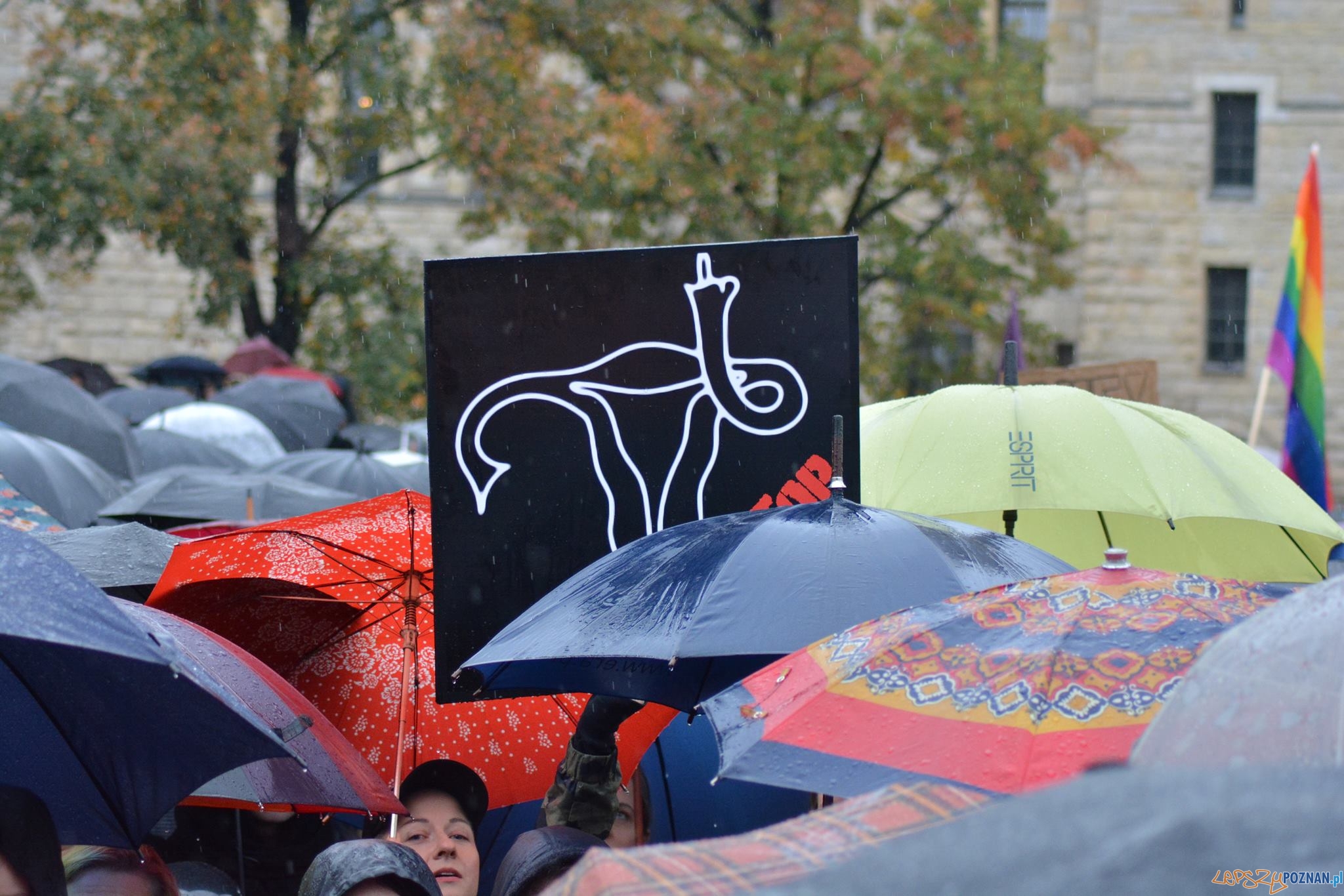 #czarnyprotest Foto: Karolina Adamska Photography #czarnyprotest Foto: Karolina Adamska Photography