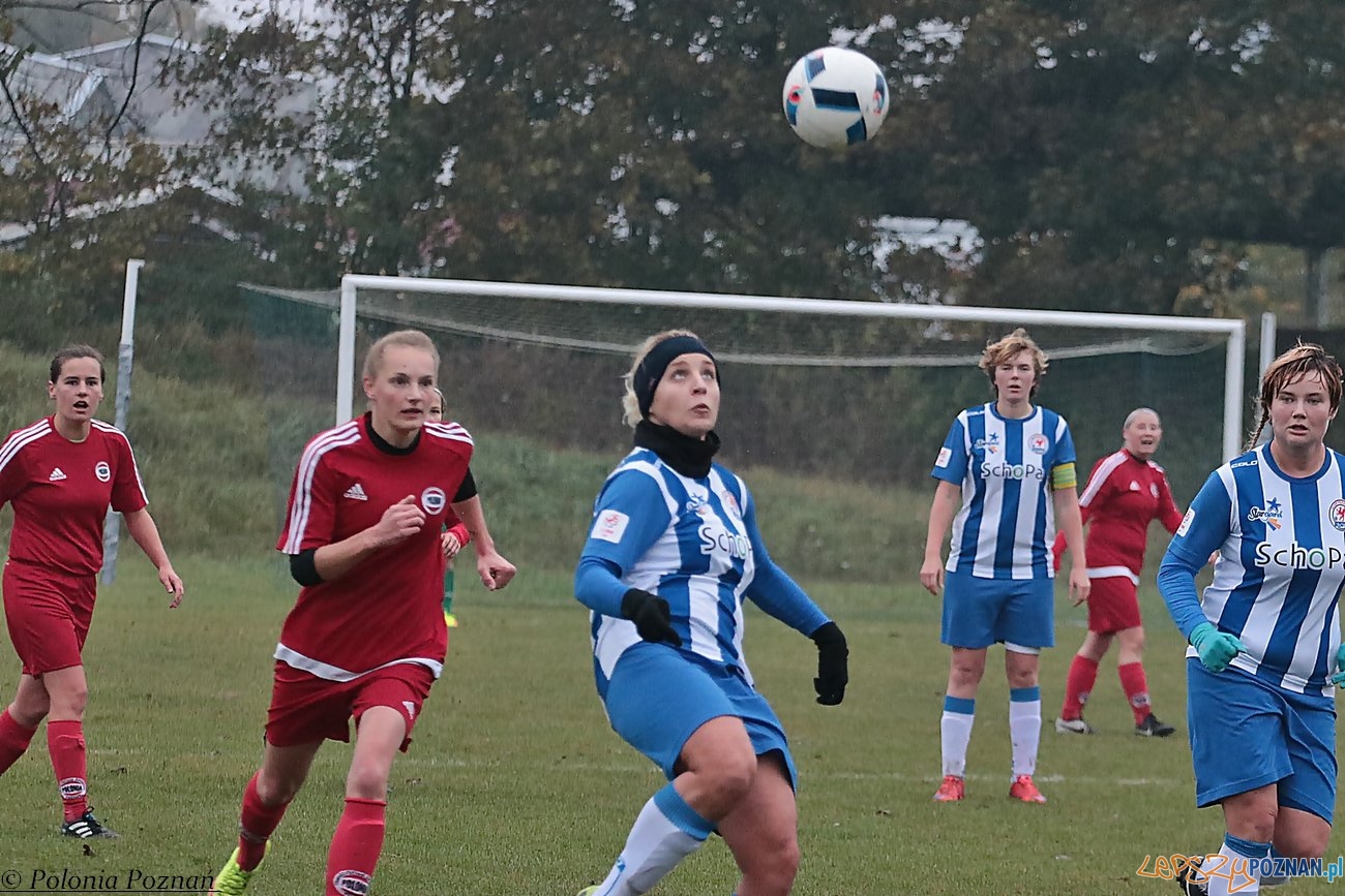 Polonia Poznań - KP Błękitne Stargard Foto: materiały prasowe Polonia Poznań - KP Błękitne Stargard Foto: materiały prasowe