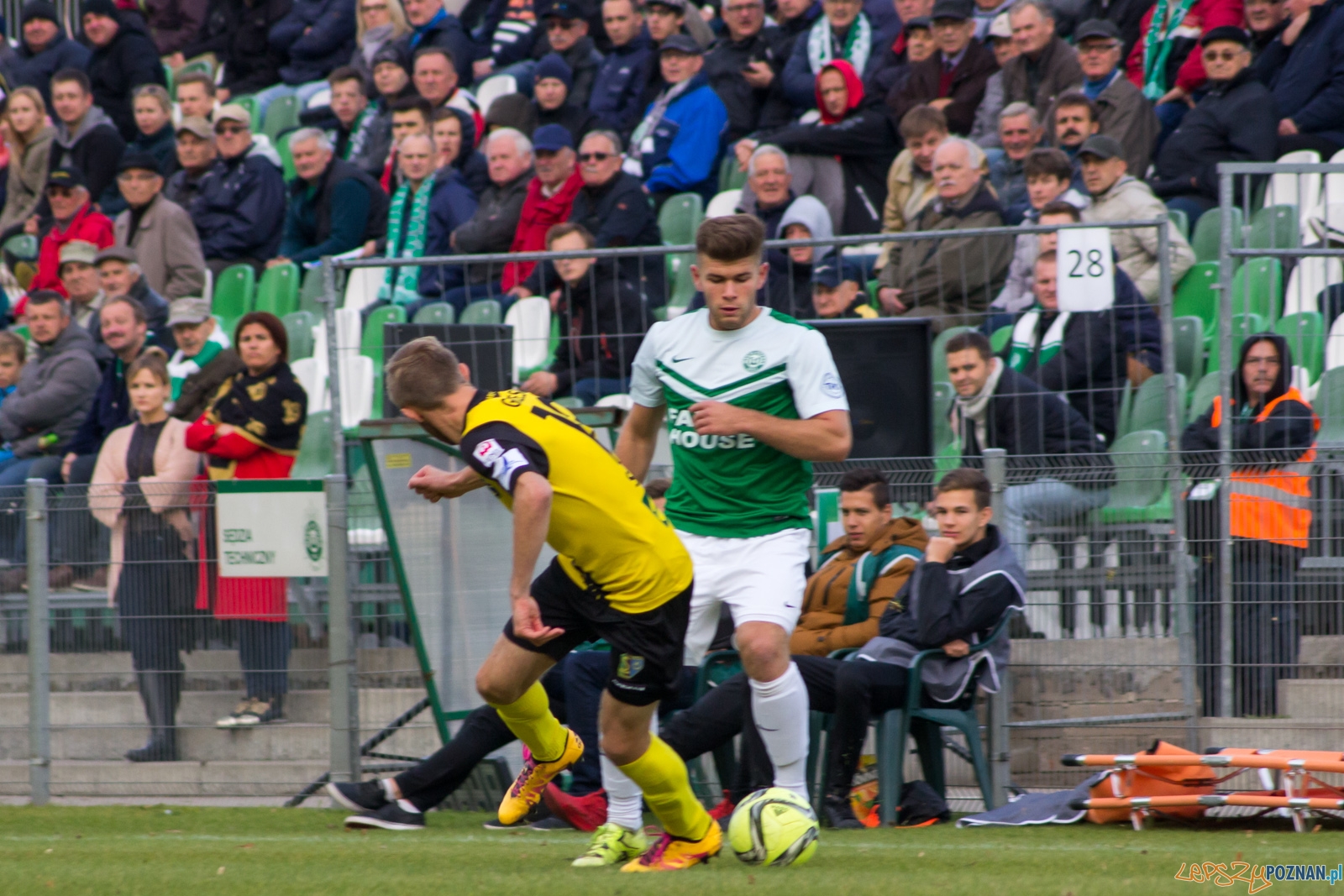 lepszy-9120 Foto: Ewelina Jaśkowiak lepszy-9120 Foto: Ewelina Jaśkowiak