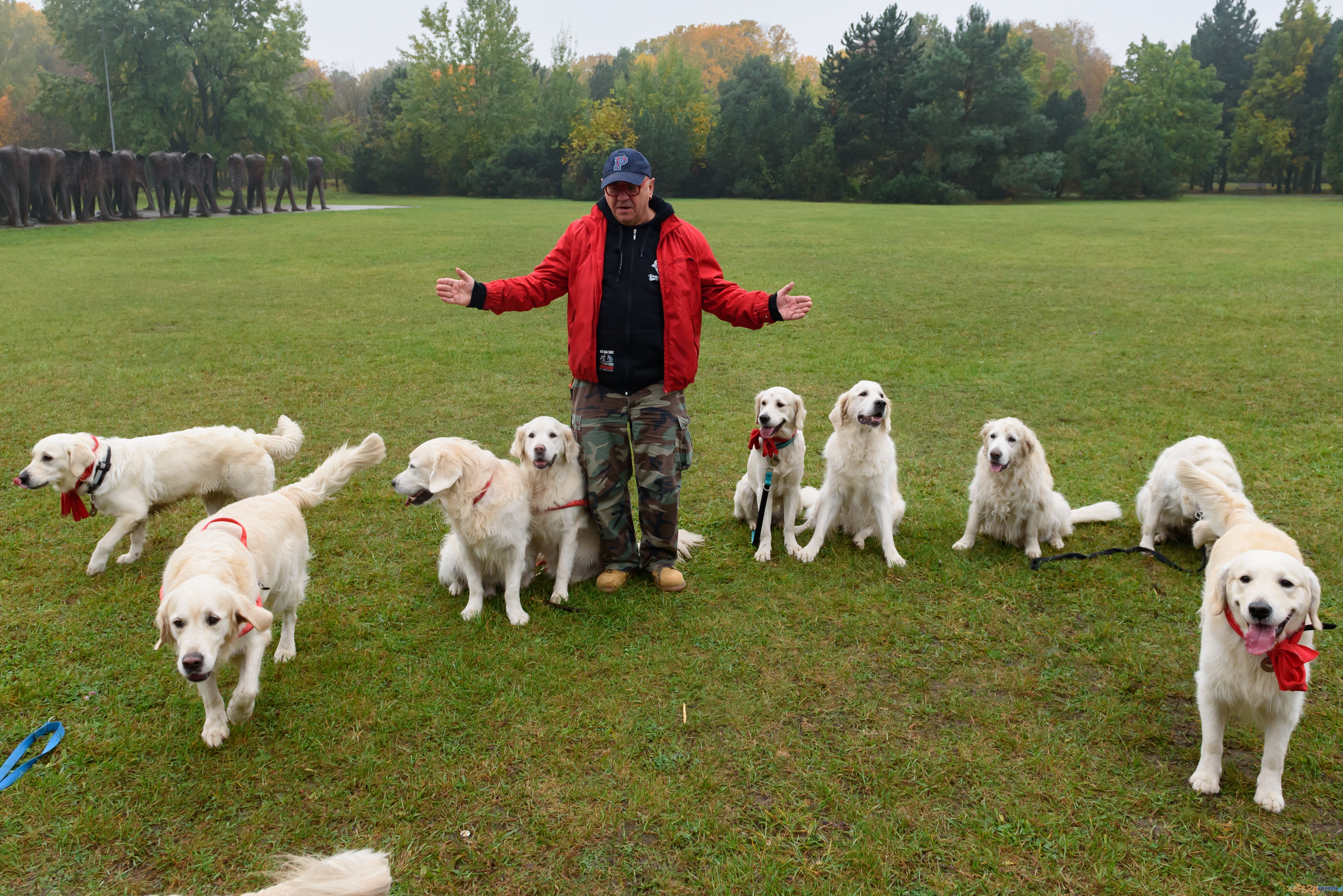 golden retriever Jurek Owsiak Foto: Kuba Kaczmarczyk golden retriever Jurek Owsiak Foto: Kuba Kaczmarczyk