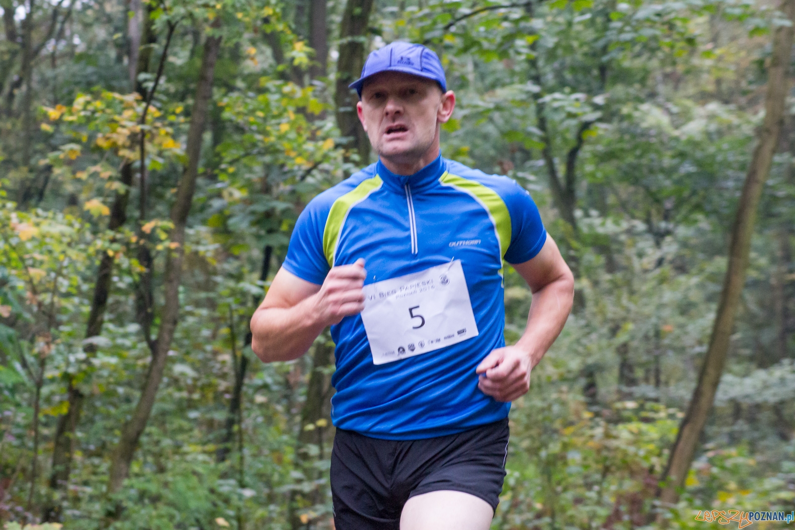 Bieg Papieski Foto: LepszyPOZNAŃ.pl / Ewelina Jaśkowiak Bieg Papieski Foto: LepszyPOZNAŃ.pl / Ewelina Jaśkowiak