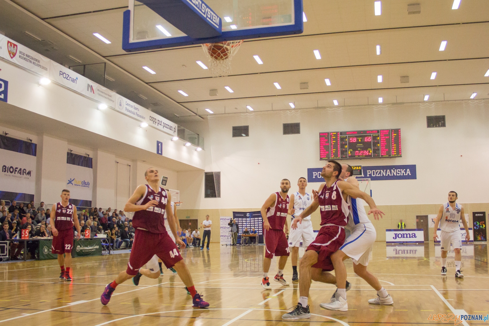 Biofarm Basket Poznań - Spójnia Stargard Foto: Ewelina Jaśkowiak Biofarm Basket Poznań - Spójnia Stargard Foto: Ewelina Jaśkowiak