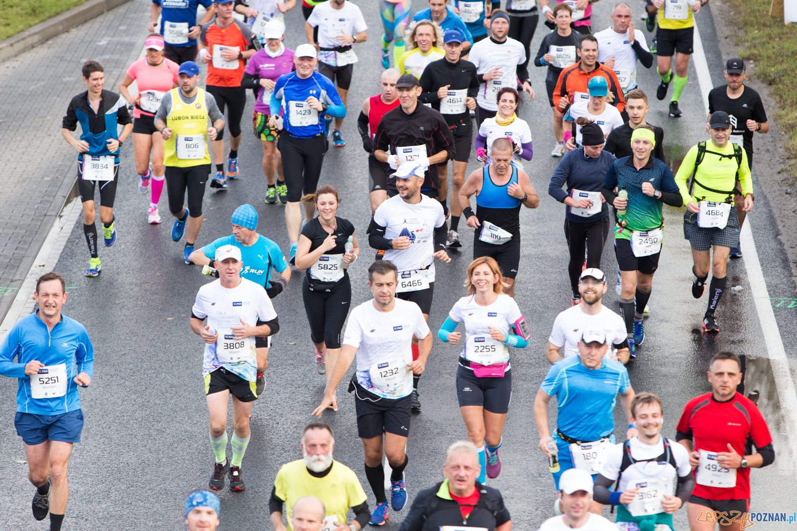 17. PKO Poznań Maraton Foto: lepszyPOZNAN.pl / Piotr Rychter 17. PKO Poznań Maraton Foto: lepszyPOZNAN.pl / Piotr Rychter