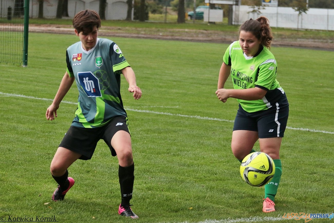 Kotwica Kórnik - Mustang Wielgie Foto: materiały prasowe Kotwica Kórnik - Mustang Wielgie Foto: materiały prasowe