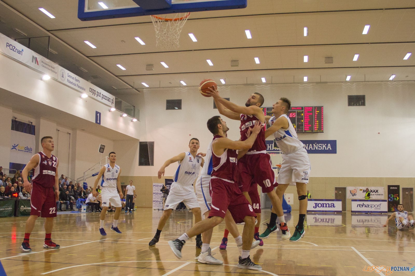 Biofarm Basket Poznań - Spójnia Stargard Foto: Ewelina Jaśkowiak Biofarm Basket Poznań - Spójnia Stargard Foto: Ewelina Jaśkowiak