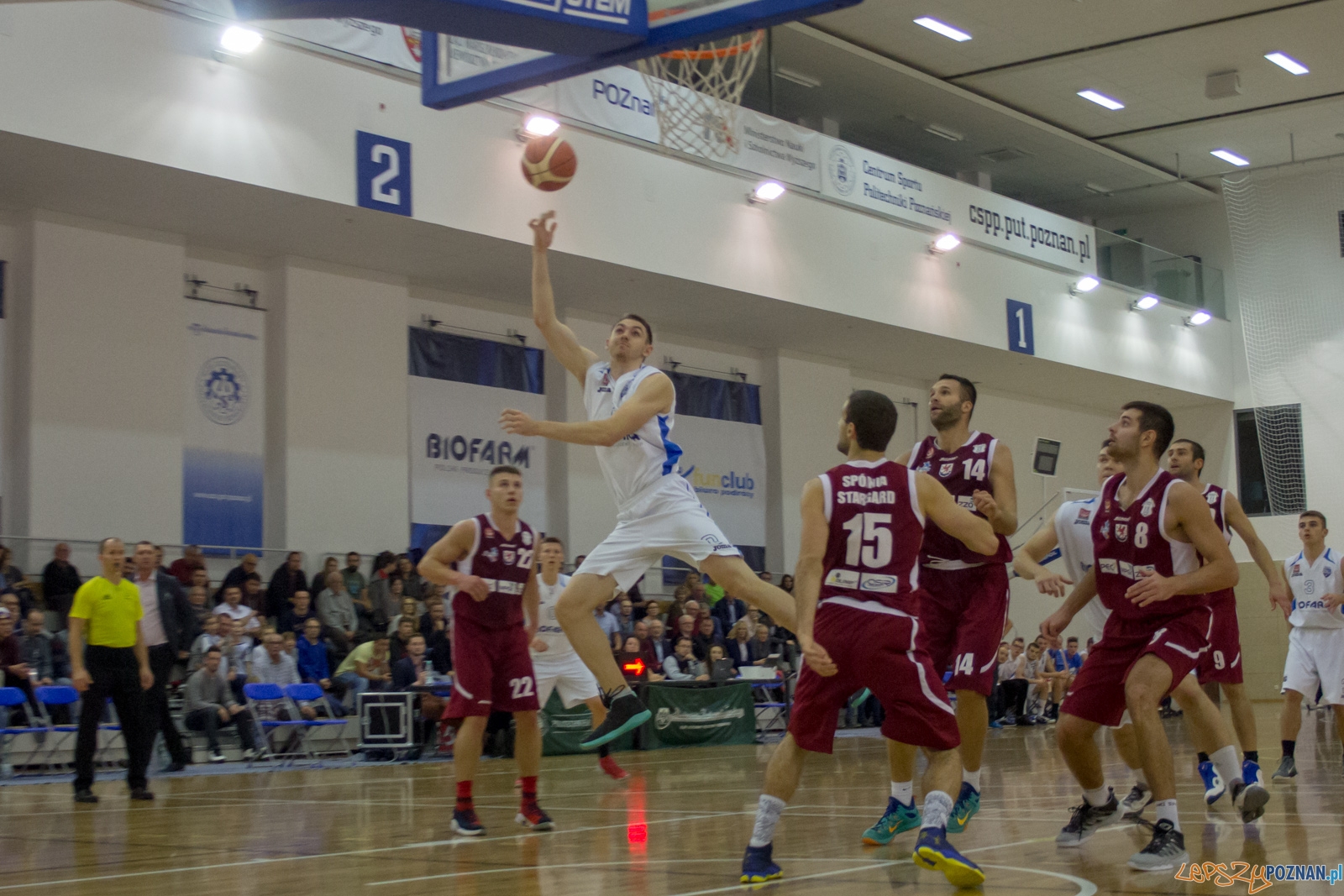 Biofarm Basket Poznań - Spójnia Stargard Foto: Ewelina Jaśkowiak Biofarm Basket Poznań - Spójnia Stargard Foto: Ewelina Jaśkowiak