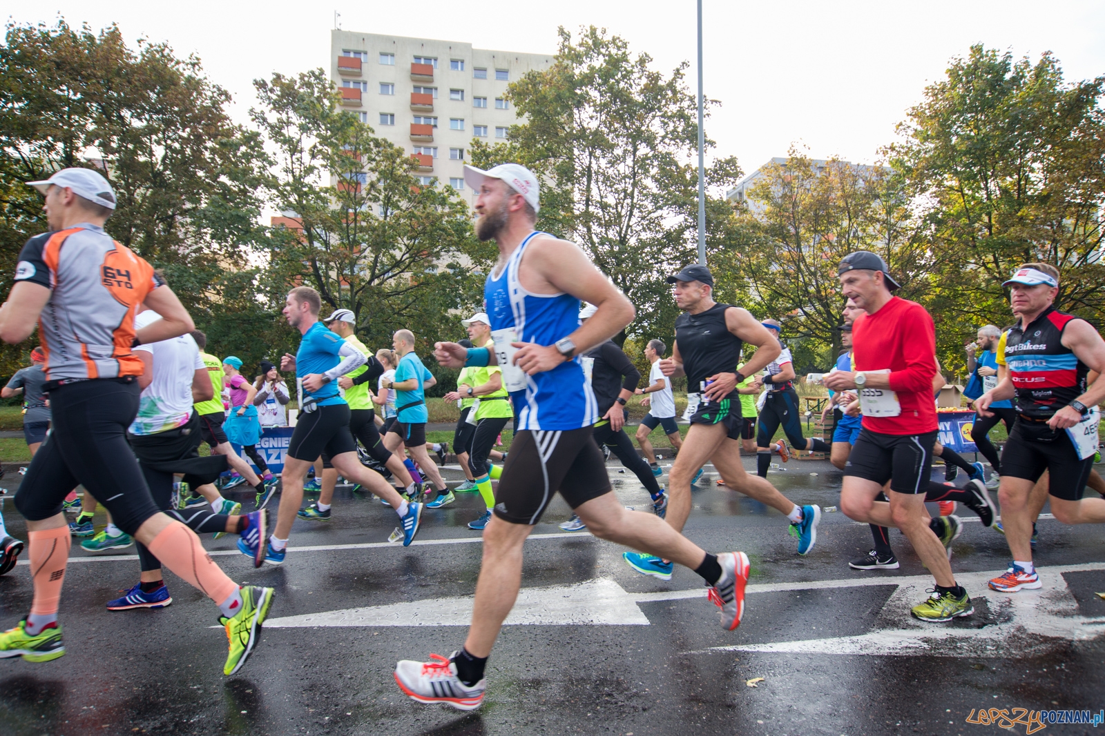 17. PKO Poznań Maraton Foto: lepszyPOZNAN.pl / Piotr Rychter 17. PKO Poznań Maraton Foto: lepszyPOZNAN.pl / Piotr Rychter