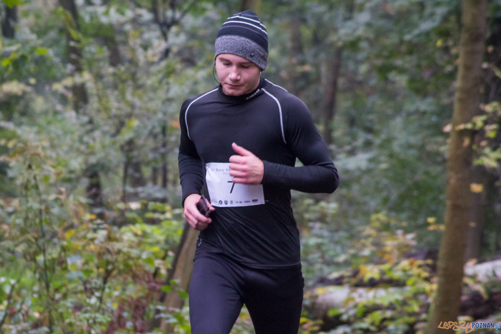 Bieg Papieski Foto: LepszyPOZNAŃ.pl / Ewelina Jaśkowiak Bieg Papieski Foto: LepszyPOZNAŃ.pl / Ewelina Jaśkowiak