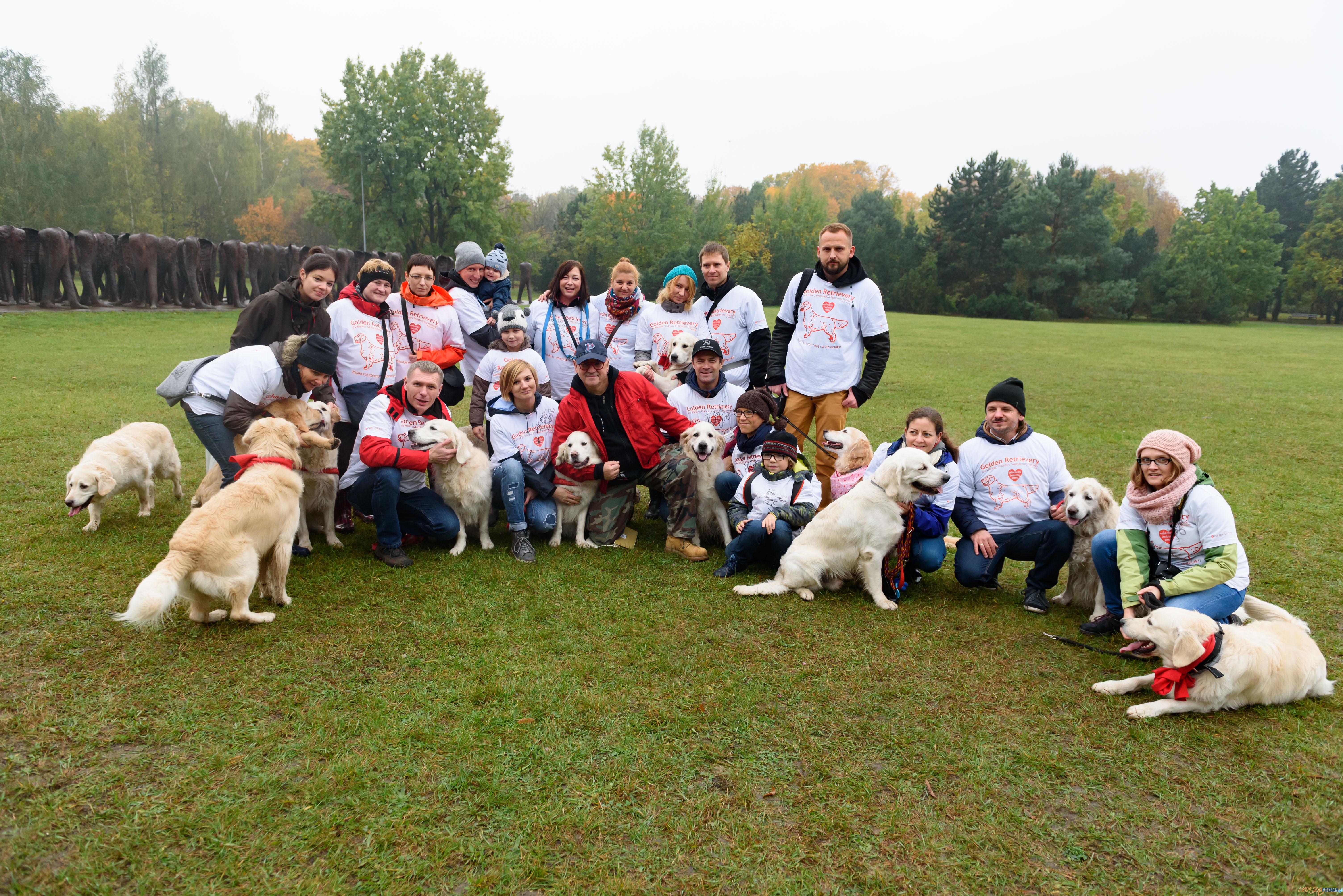golden retriever Jurek Owsiak Foto: Kuba Kaczmarczyk golden retriever Jurek Owsiak Foto: Kuba Kaczmarczyk