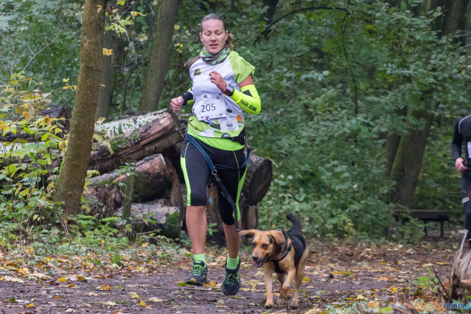 Bieg Papieski Foto: LepszyPOZNAŃ.pl / Ewelina Jaśkowiak Bieg Papieski Foto: LepszyPOZNAŃ.pl / Ewelina Jaśkowiak