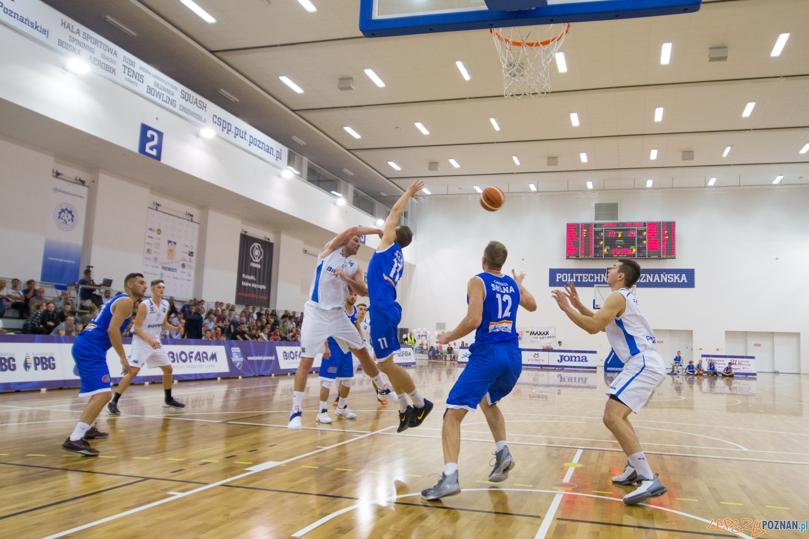 Biofarm Basket Poznań - Noteć Inowrocław Foto: lepszyPOZNAN.pl / Piotr Rychter Biofarm Basket Poznań - Noteć Inowrocław Foto: lepszyPOZNAN.pl / Piotr Rychter