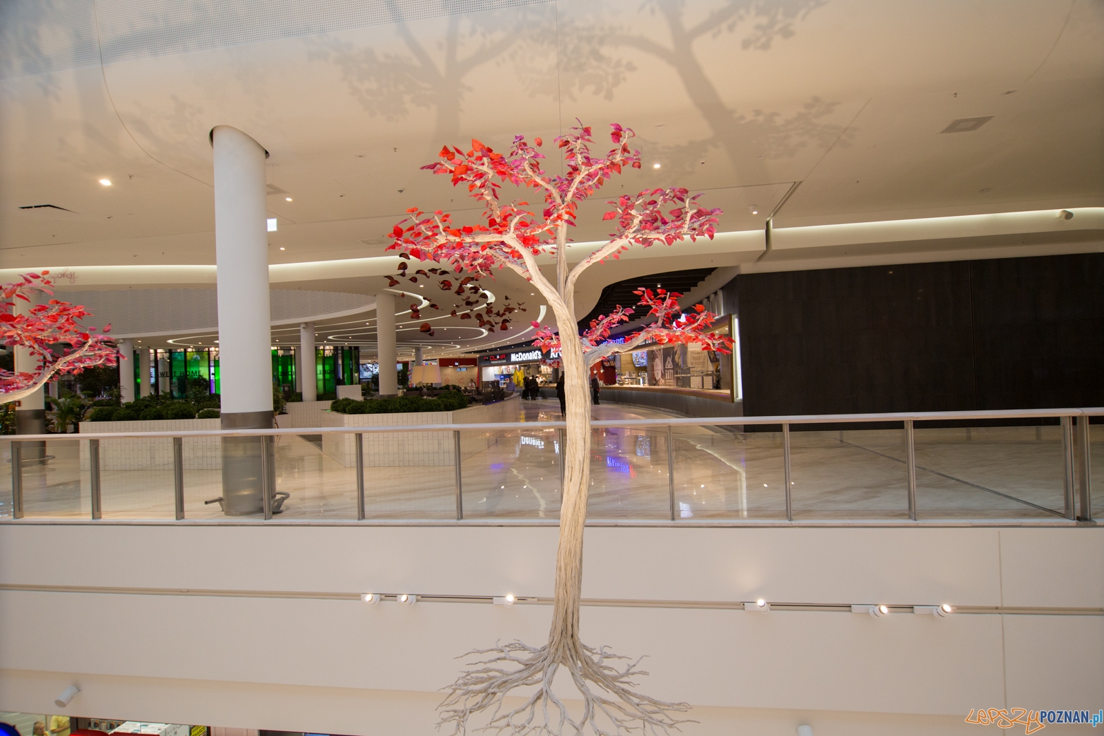 Otwarcie CH Posnania Foto: lepszyPOZNAN.pl / Piotr Rychter Otwarcie CH Posnania Foto: lepszyPOZNAN.pl / Piotr Rychter