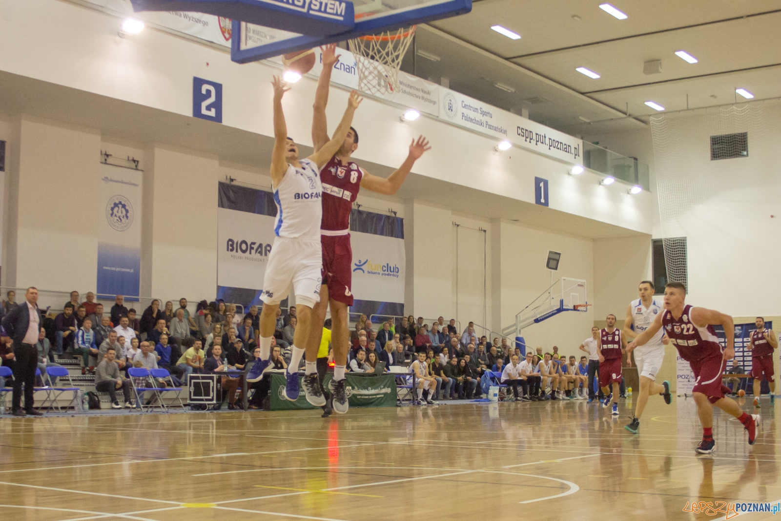 Biofarm Basket Poznań - Spójnia Stargard Foto: Ewelina Jaśkowiak Biofarm Basket Poznań - Spójnia Stargard Foto: Ewelina Jaśkowiak