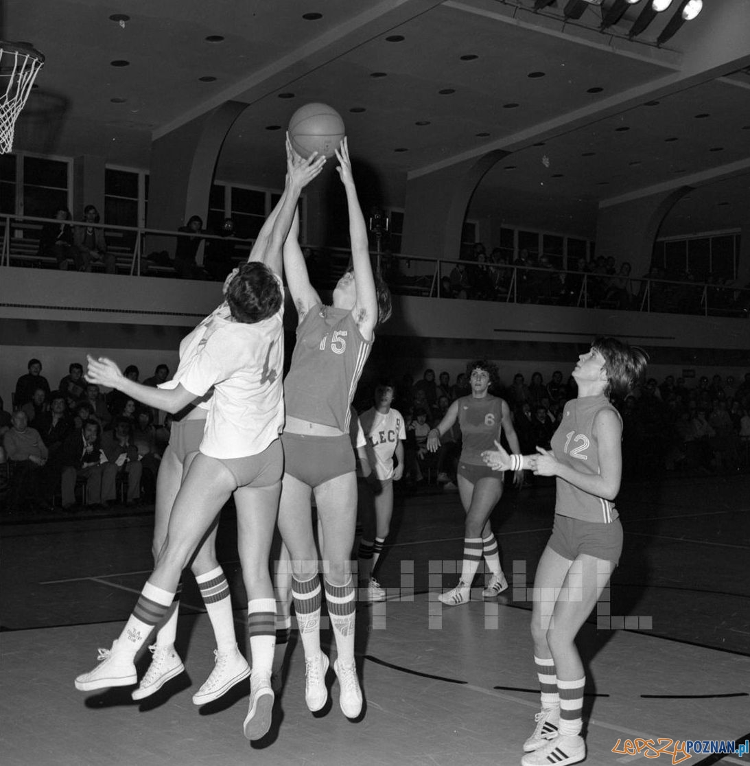 Lech Poznań - Spójnia Gdańsk - mecz w hali przy ul. Chwiałkowskiego - 22.10.1978 Foto: Stanisław Wiktor / Cyryl Lech Poznań - Spójnia Gdańsk - mecz w hali przy ul. Chwiałkowskiego - 22.10.1978 Foto: Stanisław Wiktor / Cyryl