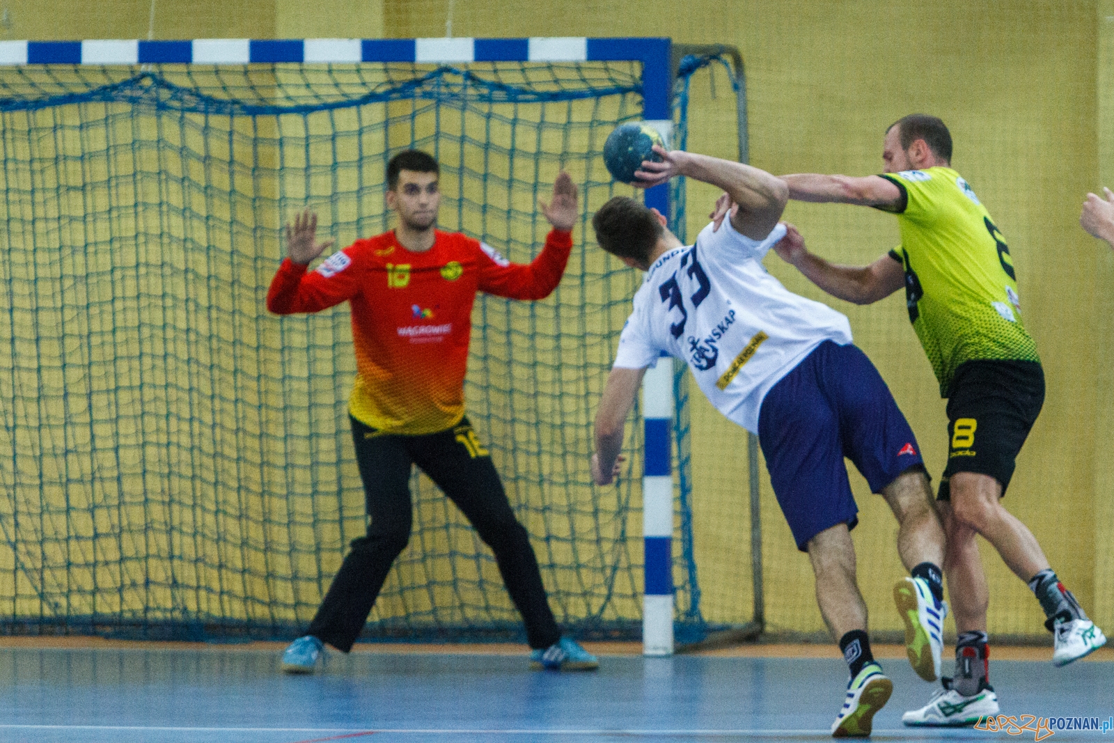I Liga Mężczyzn, WKS Grunwald Poznań - Nielba Wągrowiec - Po Foto: LepszyPOZNAN.pl / Paweł Rychter I Liga Mężczyzn, WKS Grunwald Poznań - Nielba Wągrowiec - Po Foto: LepszyPOZNAN.pl / Paweł Rychter
