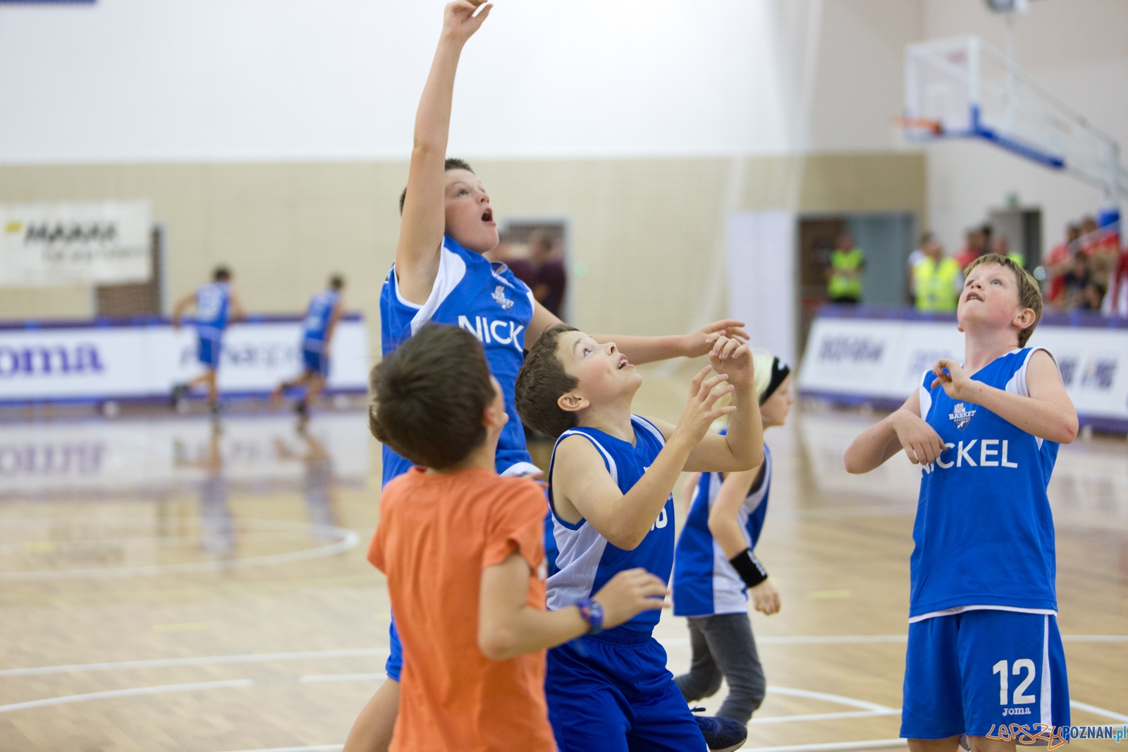 Biofarm Basket Poznań - Noteć Inowrocław Foto: lepszyPOZNAN.pl / Piotr Rychter Biofarm Basket Poznań - Noteć Inowrocław Foto: lepszyPOZNAN.pl / Piotr Rychter