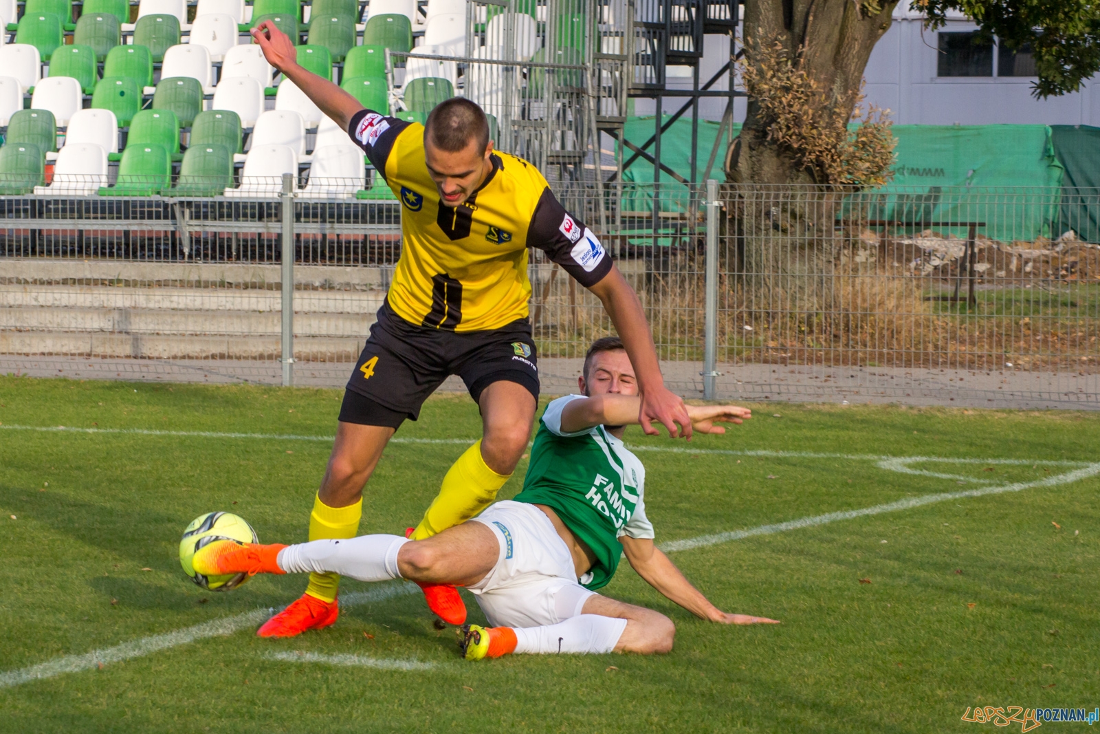 lepszy-9201 Foto: Ewelina Jaśkowiak lepszy-9201 Foto: Ewelina Jaśkowiak