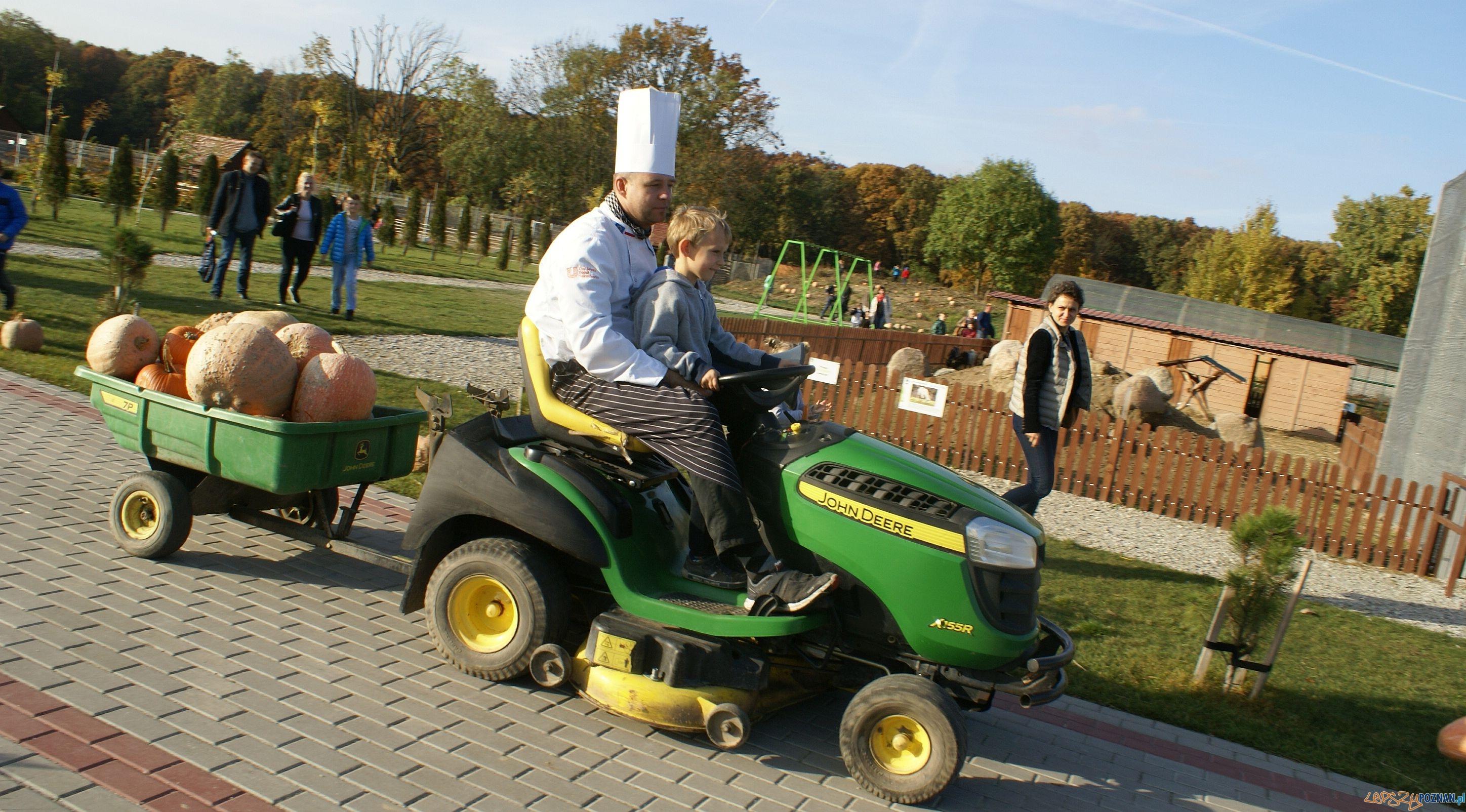 Festiwal Korbola Foto: ExPress / materiały prasowe Festiwal Korbola Foto: ExPress / materiały prasowe