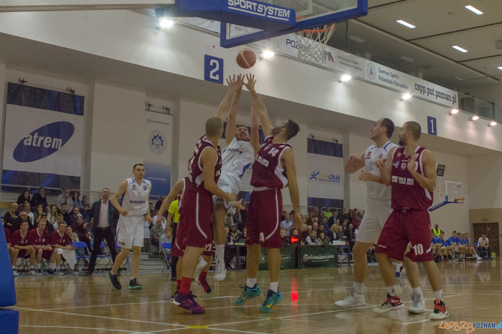 Biofarm Basket Poznań - Spójnia Stargard Foto: Ewelina Jaśkowiak Biofarm Basket Poznań - Spójnia Stargard Foto: Ewelina Jaśkowiak