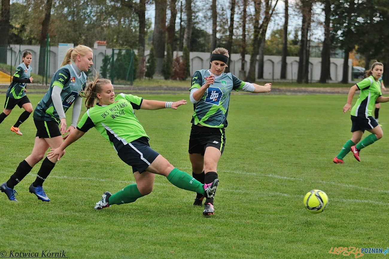 Kotwica Kórnik - Mustang Wielgie Foto: materiały prasowe Kotwica Kórnik - Mustang Wielgie Foto: materiały prasowe