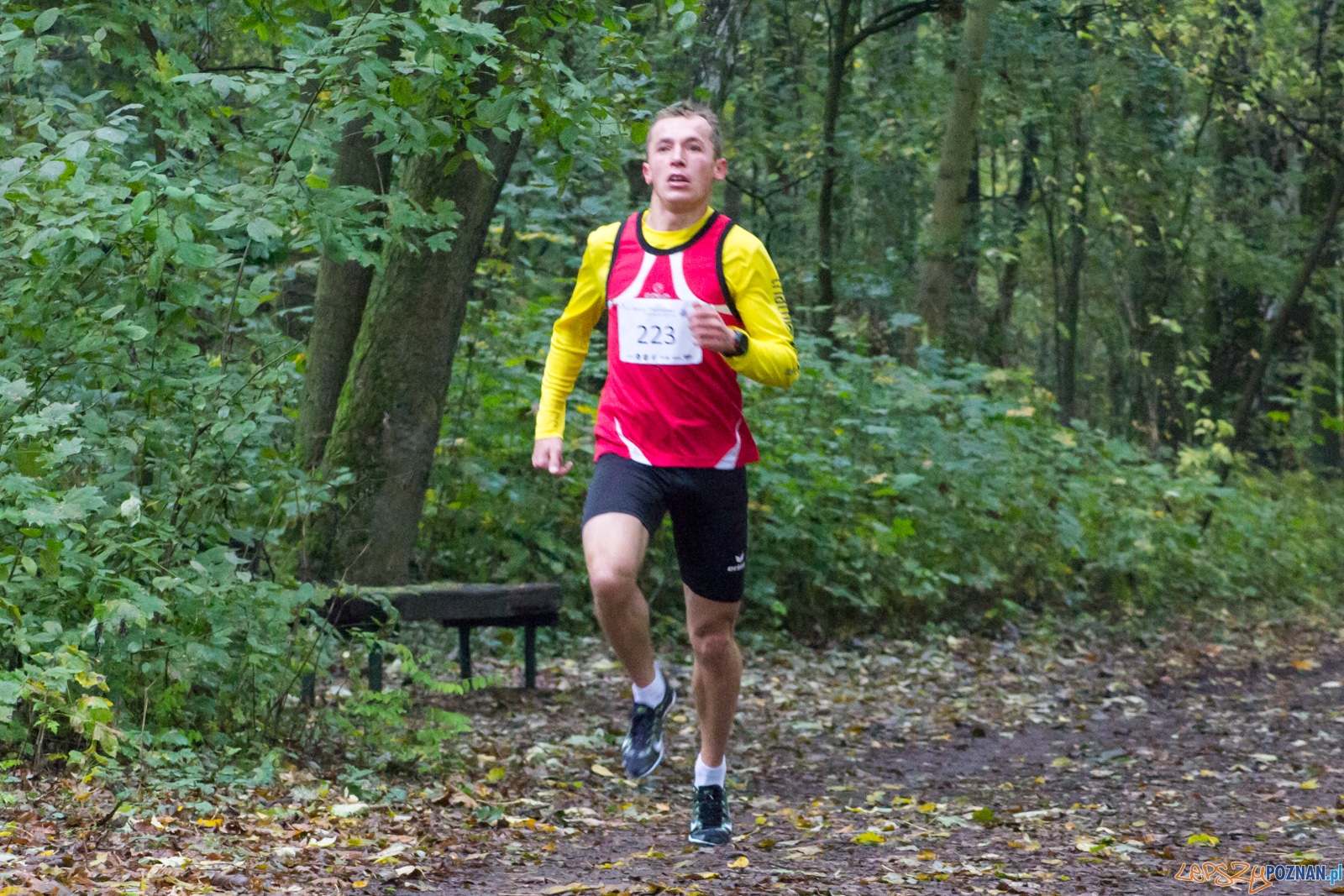 Bieg Papieski Foto: LepszyPOZNAŃ.pl / Ewelina Jaśkowiak Bieg Papieski Foto: LepszyPOZNAŃ.pl / Ewelina Jaśkowiak