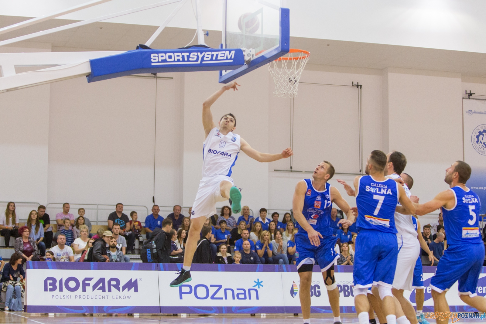 Biofarm Basket Poznań - Noteć Inowrocław Foto: lepszyPOZNAN.pl / Piotr Rychter Biofarm Basket Poznań - Noteć Inowrocław Foto: lepszyPOZNAN.pl / Piotr Rychter
