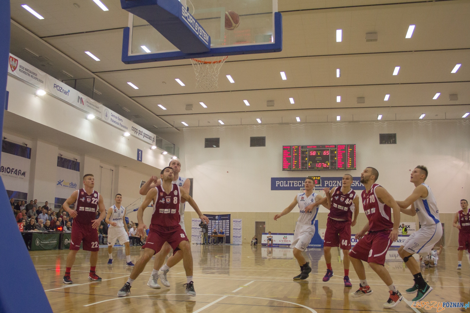 Biofarm Basket Poznań - Spójnia Stargard Foto: Ewelina Jaśkowiak Biofarm Basket Poznań - Spójnia Stargard Foto: Ewelina Jaśkowiak