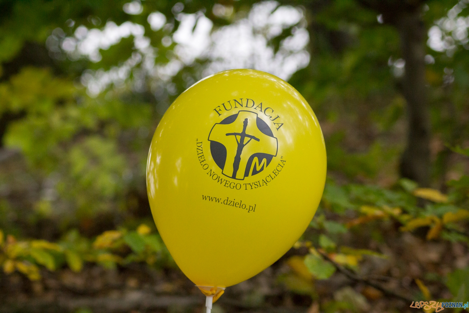 Bieg Papieski Foto: LepszyPOZNAŃ.pl / Ewelina Jaśkowiak Bieg Papieski Foto: LepszyPOZNAŃ.pl / Ewelina Jaśkowiak