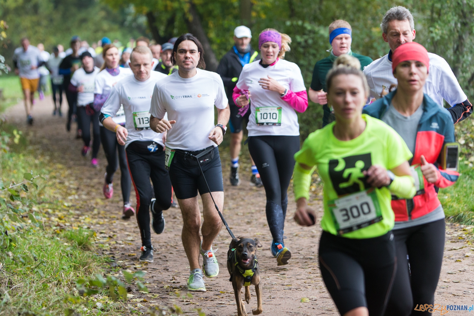 Grand Prix CITY TRAIL - bieg pierwszy Foto: lepszyPOZNAN.pl / Piotr Rychter Grand Prix CITY TRAIL - bieg pierwszy Foto: lepszyPOZNAN.pl / Piotr Rychter